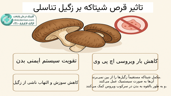تاثیر قرص شیتاکه بر زگیل تناسلی
